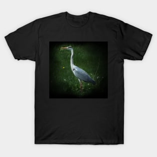 Grey heron T-Shirt